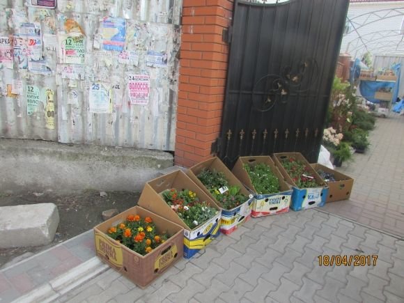 Пасхальний Козятин в третій день Пасхи, 18 квітня, вівторок, фото №12 на сайті 20minut.ua