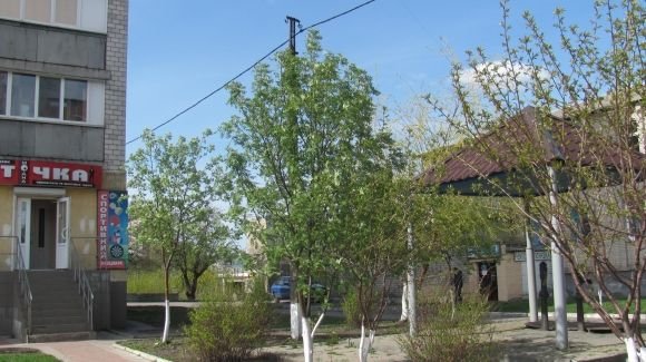 Пасхальний Козятин в третій день Пасхи, 18 квітня, вівторок, фото №27 на сайті 20minut.ua