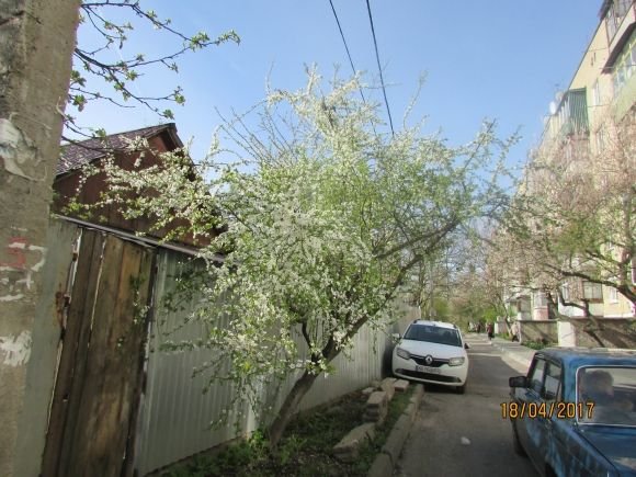 Пасхальний Козятин в третій день Пасхи, 18 квітня, вівторок, фото №3 на сайті 20minut.ua