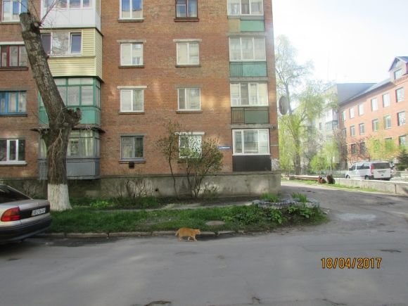 Пасхальний Козятин в третій день Пасхи, 18 квітня, вівторок, фото №6 на сайті 20minut.ua