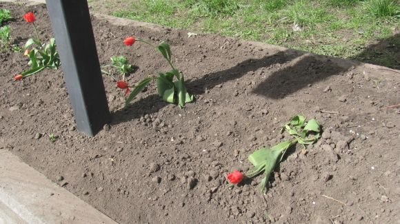 Пасхальний Козятин в третій день Пасхи, 18 квітня, вівторок, фото №30 на сайті 20minut.ua