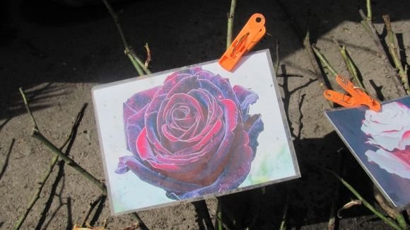 Пасхальний Козятин в третій день Пасхи, 18 квітня, вівторок, фото №39 на сайті 20minut.ua