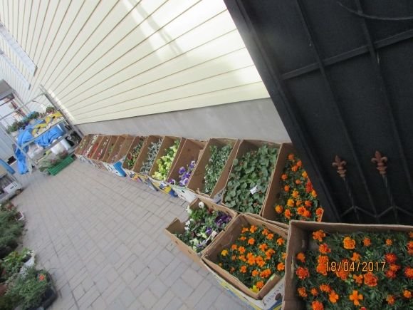 Пасхальний Козятин в третій день Пасхи, 18 квітня, вівторок, фото №14 на сайті 20minut.ua