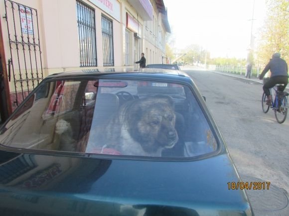 Пасхальний Козятин в третій день Пасхи, 18 квітня, вівторок, фото №1 на сайті 20minut.ua