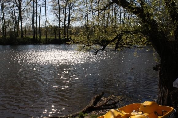Вінничанин за 12 тисяч доларів побудував дім на колесах на березі Бугу на сайті 20minut.ua Вінничанин за 12 тисяч доларів побудував дім на колесах на березі Бугу, фото №14 на сайті 20minut.ua