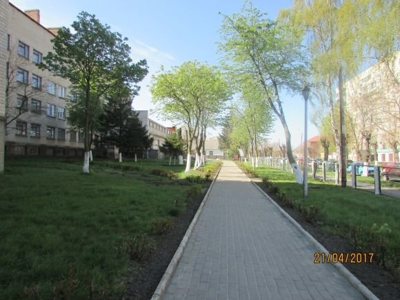 Через похолодання Козятин став пустішим на сайті 20minut.ua Через похолодання Козятин став пустішим, фото №1 на сайті 20minut.ua