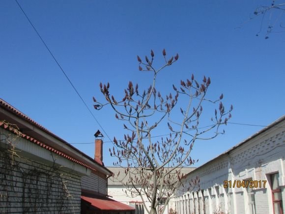 Через похолодання Козятин став пустішим на сайті 20minut.ua Через похолодання Козятин став пустішим, фото №18 на сайті 20minut.ua