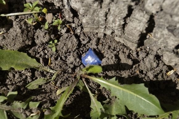 Журналісти знайшли наркотик біля криміналістичного центру. Що робить поліція? на сайті 20minut.ua Журналісти знайшли наркотик біля криміналістичного центру. Що робить поліція?, фото №3 на сайті 20minut.ua