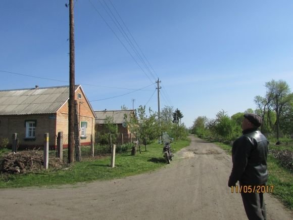 Лелеки залишилися без свого гнізда (ОНОВЛЕНО), фото №6 на сайті 20minut.ua