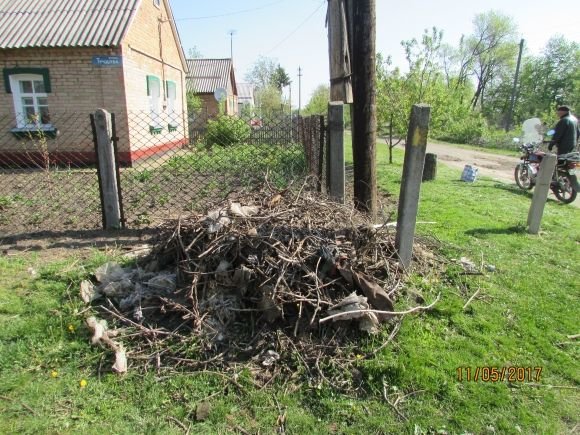 Лелеки залишилися без свого гнізда (ОНОВЛЕНО), фото №3 на сайті 20minut.ua