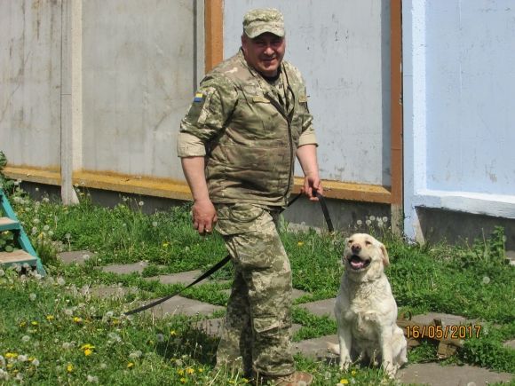 Службові собаки на охороні правопорядку, фото №1 на сайті 20minut.ua