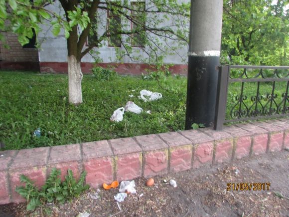 Влада почала висаджувати в Козятині квіти, фото №14 на сайті 20minut.ua