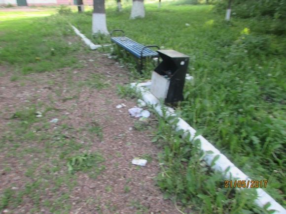 Влада почала висаджувати в Козятині квіти, фото №16 на сайті 20minut.ua