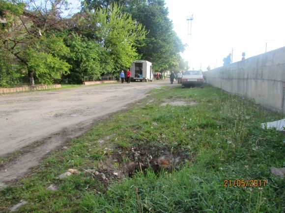 Влада почала висаджувати в Козятині квіти, фото №12 на сайті 20minut.ua