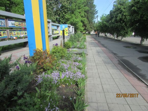 Влада почала висаджувати в Козятині квіти, фото №9 на сайті 20minut.ua