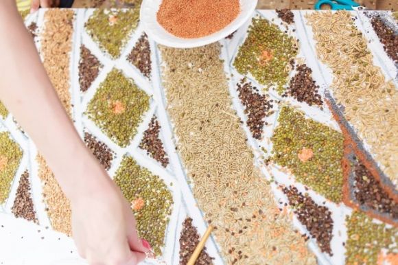 Найбільшу в Україні картину із насіння створили у Вінниці (ФОТО), фото №1 на сайті 20minut.ua