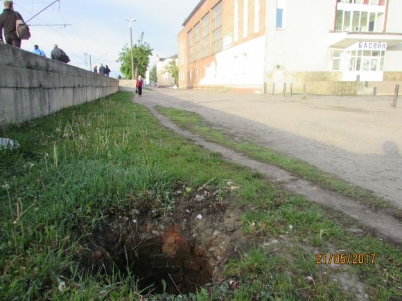 Влада почала висаджувати в Козятині квіти, фото №10 на сайті 20minut.ua