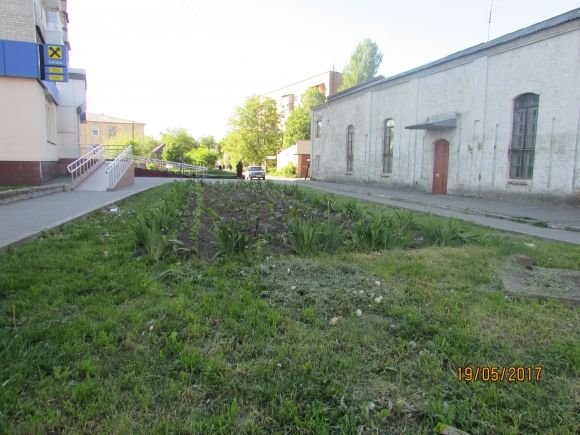 Влада почала висаджувати в Козятині квіти, фото №7 на сайті 20minut.ua