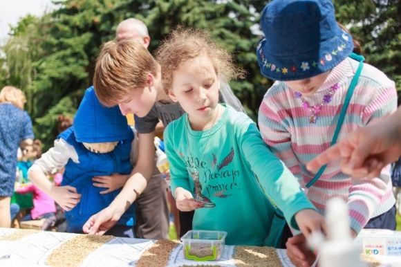 Найбільшу в Україні картину із насіння створили у Вінниці (ФОТО), фото №2 на сайті 20minut.ua