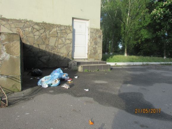 Влада почала висаджувати в Козятині квіти, фото №15 на сайті 20minut.ua