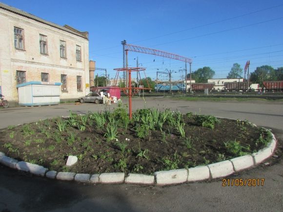 Влада почала висаджувати в Козятині квіти, фото №8 на сайті 20minut.ua