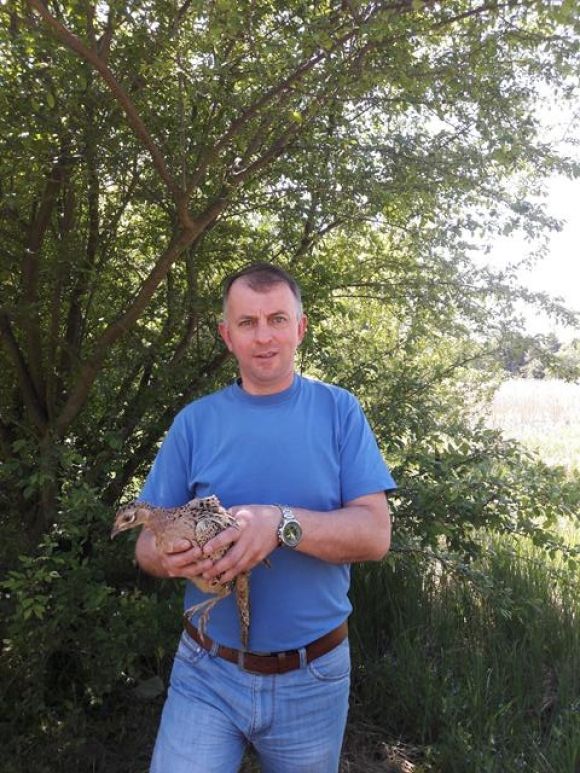 На Немирівщині оселилося 109 фазанів. ФОТО на сайті 20minut.ua На Немирівщині оселилося 109 фазанів. ФОТО, фото №1 на сайті 20minut.ua