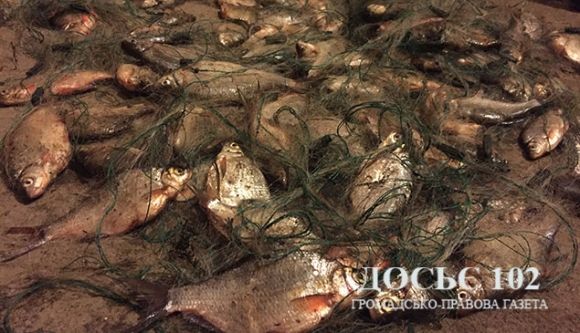 На Тернопільському ставі браконьєри витягнули риби на 32 тисячі, фото №1 на сайті 20minut.ua