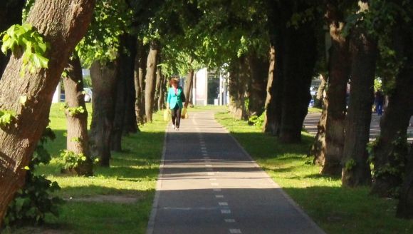 «Навіть не хочу чути!»: пішоходи не діляться велодоріжками з велосипедистами (ФОТО, ВІДЕО) на сайті 20minut.ua «Навіть не хочу чути!»: пішоходи не діляться велодоріжками з велосипедистами (ФОТО, ВІДЕО), фото №13 на сайті 20minut.ua