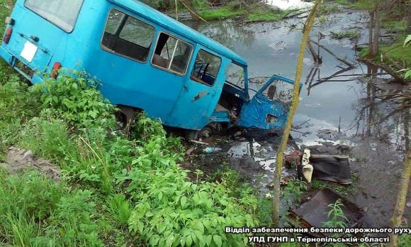 ДТП в Підволочиську: автомобіль впав у ставок, двоє людей постраждало, фото №1 на сайті 20minut.ua