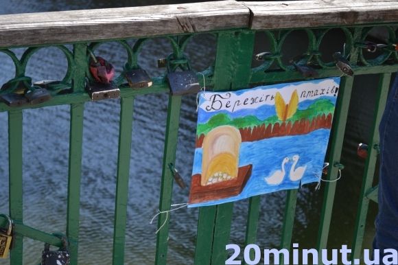 Фото дня: Кам’янець милується лебединим поповненням, фото №4 на сайті 20minut.ua