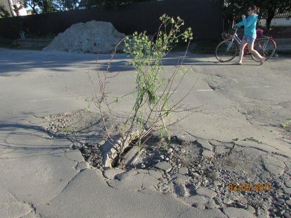 В такому затишному Козятині — такі невігласи-водії, фото №2 на сайті 20minut.ua