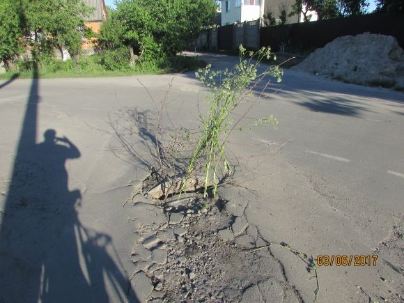 В такому затишному Козятині — такі невігласи-водії, фото №1 на сайті 20minut.ua