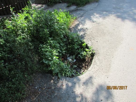 В такому затишному Козятині — такі невігласи-водії, фото №6 на сайті 20minut.ua