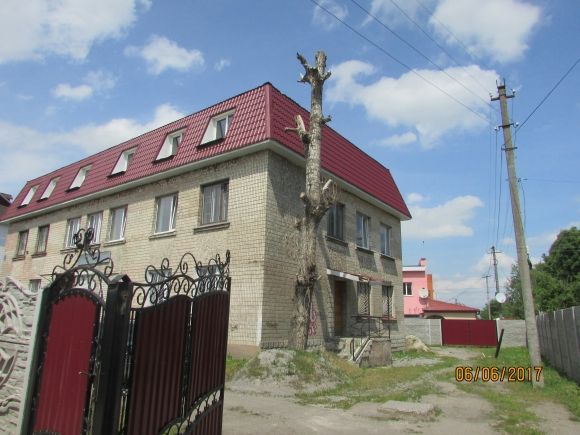 В такому затишному Козятині — такі невігласи-водії, фото №13 на сайті 20minut.ua