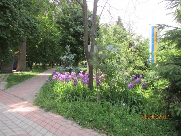 В такому затишному Козятині — такі невігласи-водії, фото №16 на сайті 20minut.ua