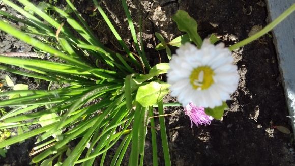 Позитивні моменти червня, фото №4 на сайті 20minut.ua