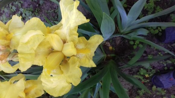 Позитивні моменти червня, фото №5 на сайті 20minut.ua