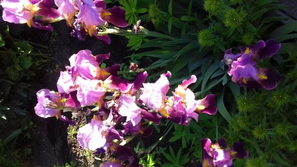 Позитивні моменти червня, фото №3 на сайті 20minut.ua