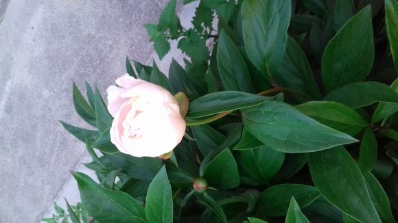 Позитивні моменти червня, фото №2 на сайті 20minut.ua