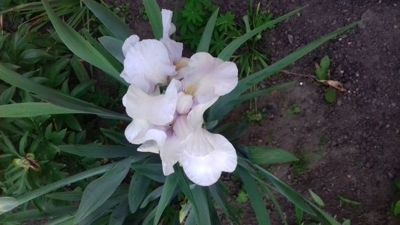 Позитивні моменти червня, фото №1 на сайті 20minut.ua