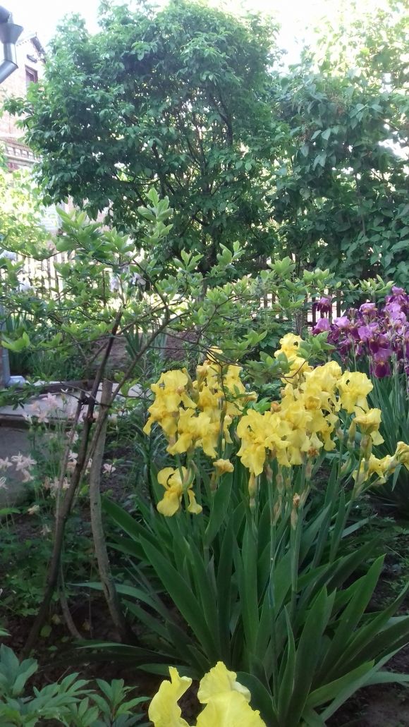 Позитивні моменти червня, фото №6 на сайті 20minut.ua