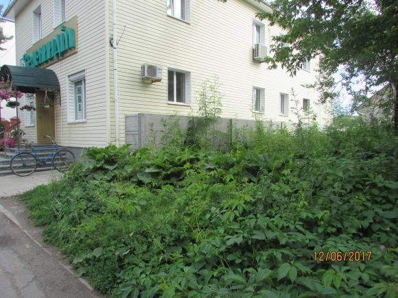 Прогулянка Козятином: подекуди не завадять гумові чоботи на сайті 20minut.ua Прогулянка Козятином: подекуди не завадять гумові чоботи, фото №21 на сайті 20minut.ua