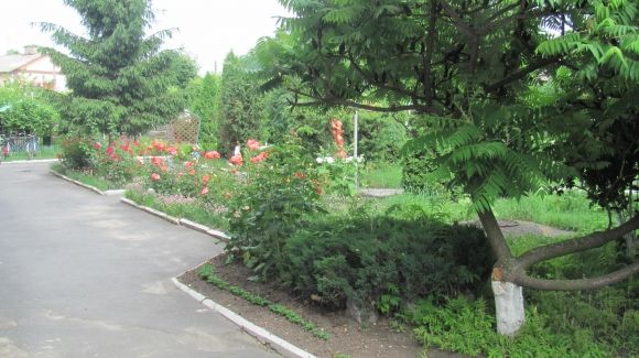 Прогулянка Козятином: подекуди не завадять гумові чоботи на сайті 20minut.ua Прогулянка Козятином: подекуди не завадять гумові чоботи, фото №38 на сайті 20minut.ua