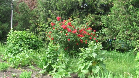 Прогулянка Козятином: подекуди не завадять гумові чоботи на сайті 20minut.ua Прогулянка Козятином: подекуди не завадять гумові чоботи, фото №37 на сайті 20minut.ua