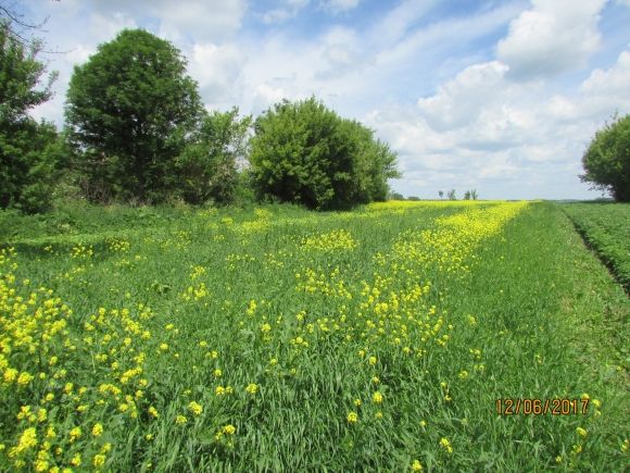 Прогулянка Козятином: подекуди не завадять гумові чоботи на сайті 20minut.ua Прогулянка Козятином: подекуди не завадять гумові чоботи, фото №42 на сайті 20minut.ua