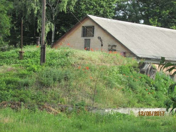 Прогулянка Козятином: подекуди не завадять гумові чоботи на сайті 20minut.ua Прогулянка Козятином: подекуди не завадять гумові чоботи, фото №34 на сайті 20minut.ua