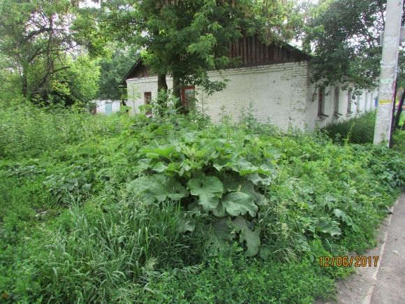 Прогулянка Козятином: подекуди не завадять гумові чоботи на сайті 20minut.ua Прогулянка Козятином: подекуди не завадять гумові чоботи, фото №22 на сайті 20minut.ua