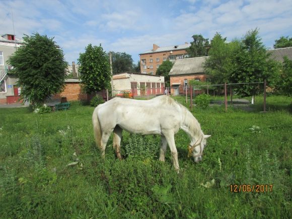 Прогулянка Козятином: подекуди не завадять гумові чоботи на сайті 20minut.ua Прогулянка Козятином: подекуди не завадять гумові чоботи, фото №36 на сайті 20minut.ua