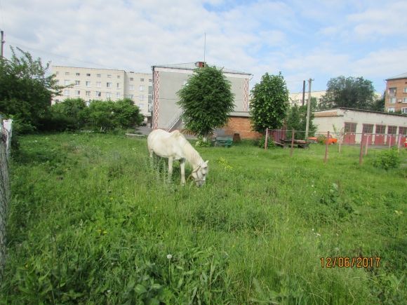 Прогулянка Козятином: подекуди не завадять гумові чоботи на сайті 20minut.ua Прогулянка Козятином: подекуди не завадять гумові чоботи, фото №35 на сайті 20minut.ua