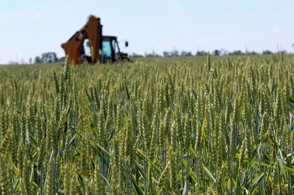 «Мерців будуть хоронити в багні». На Сабарові протестували проти цвинтаря на сайті 20minut.ua «Мерців будуть хоронити в багні». На Сабарові протестували проти цвинтаря, фото №6 на сайті 20minut.ua